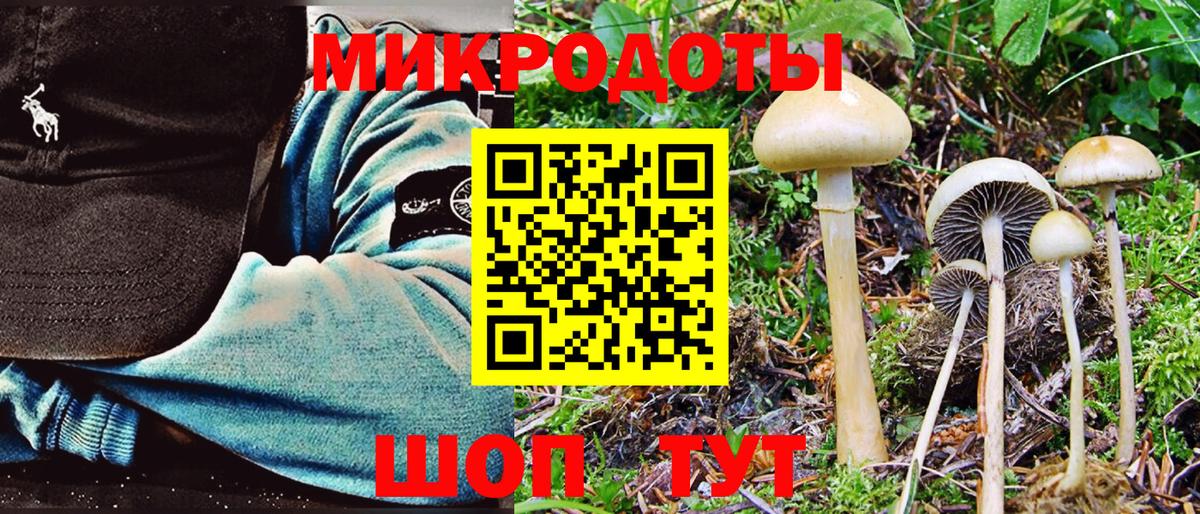 Галлюциногенные грибы мицелий  Псилоцибиновые грибы MAGIC MUSHROOMS  Кунгур  Вход с VPN 